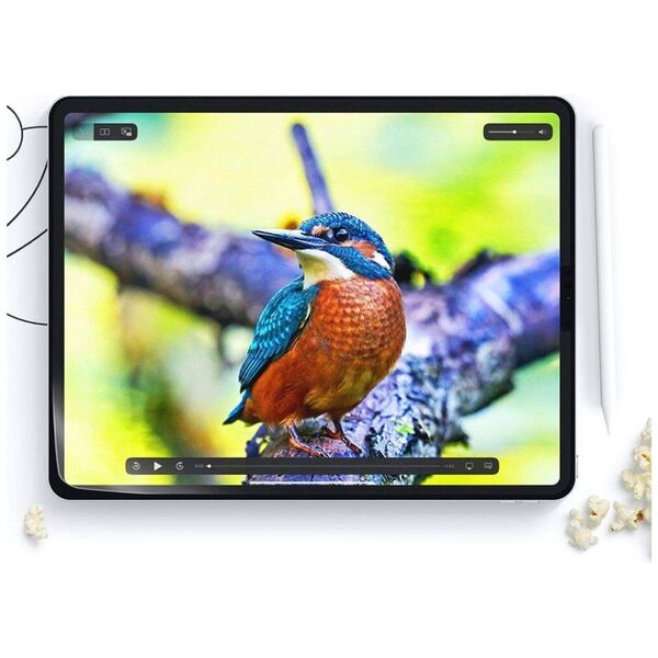 Matte Protective Film APPLE IPAD PRO 11.0 (5GEN) Hofi Paper Pro+ 2-pack Clear 5906302308453
